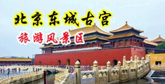 干老骚妇视频在线中国北京-东城古宫旅游风景区